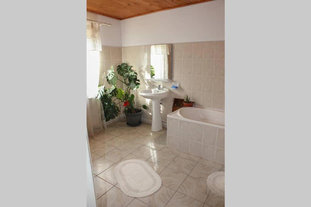 Vila Cozy, Panorama Superba, Gratar Si Relaxare Πιάτρα Νέαμτς Εξωτερικό φωτογραφία